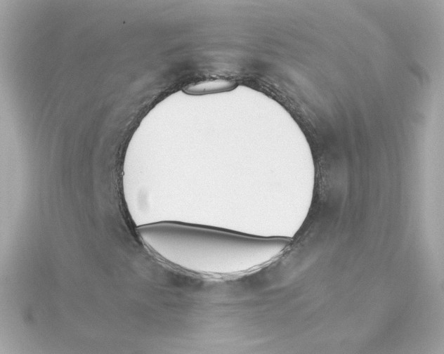 X0000115261345200911271917