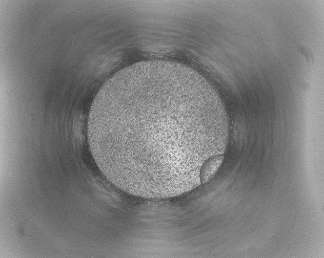 X0000115261346200911271917