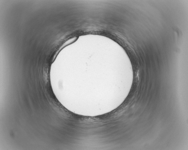 X0000115261348200911271917