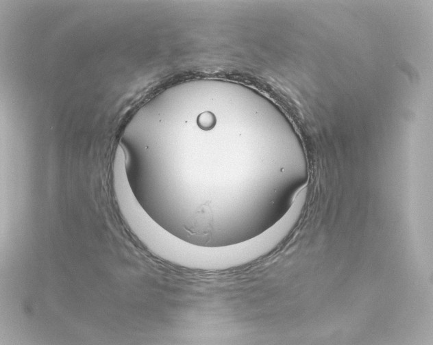 X0000115261349200911271917