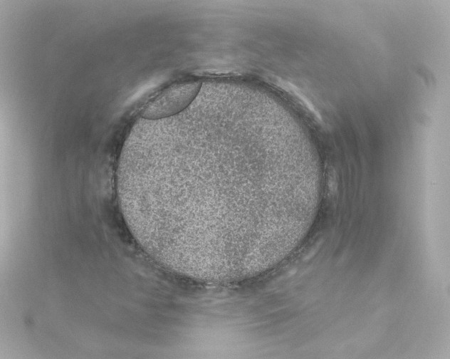 X0000115261350200911271917