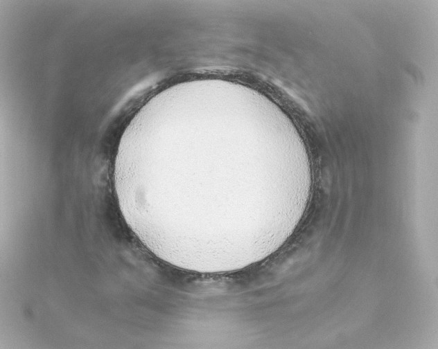 X0000115261351200911271917