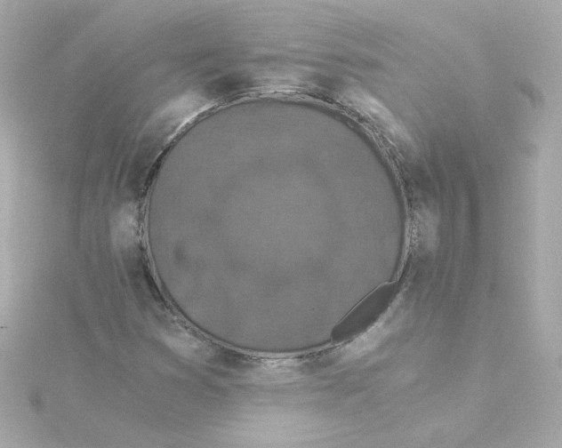 X0000115261353200911271917