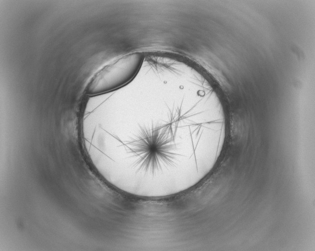 X0000115261356200911271917