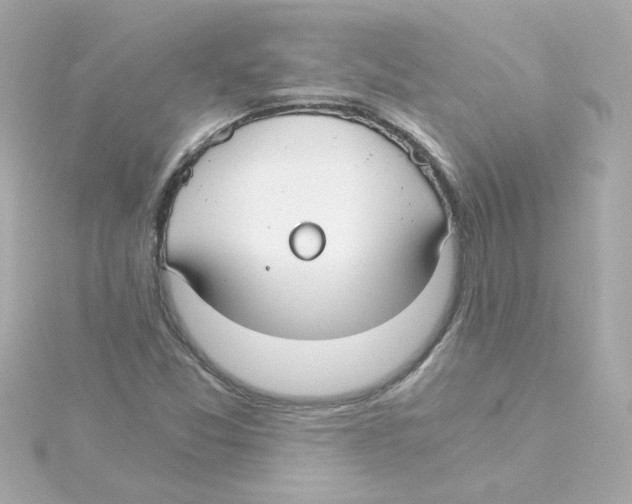 X0000115261357200911271917