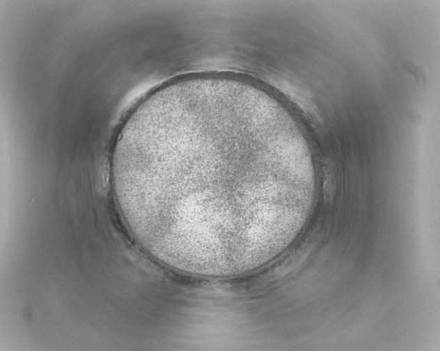 X0000115261358200911271917