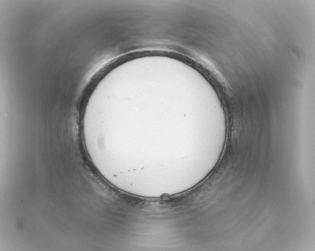 X0000115261360200911271917