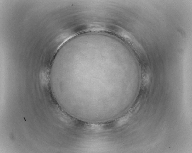 X0000115261361200911271917