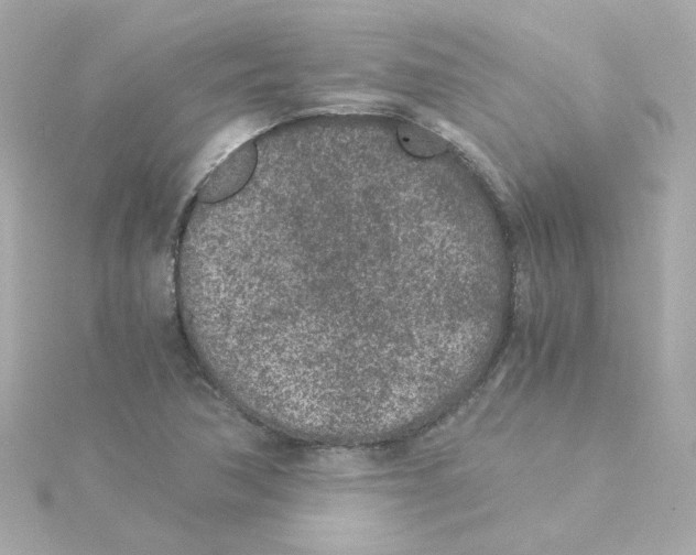 X0000115261362200911271917