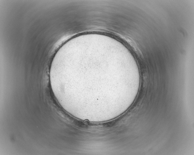 X0000115261363200911271917