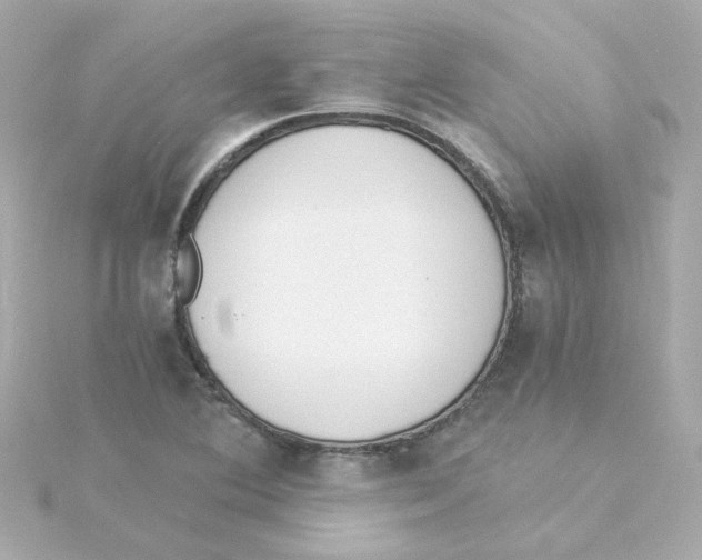 X0000115261364200911271917