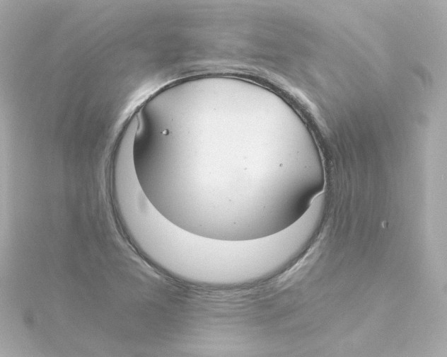 X0000115261365200911271917