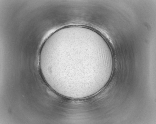 X0000115261366200911271917