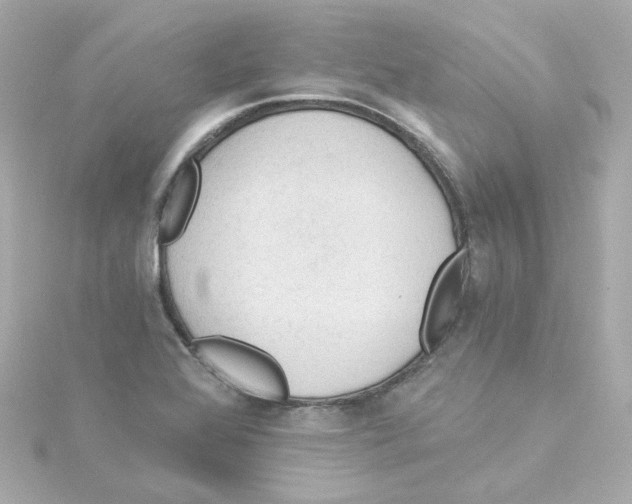 X0000115261368200911271917