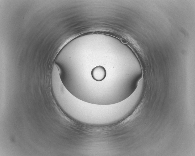 X0000115261369200911271917