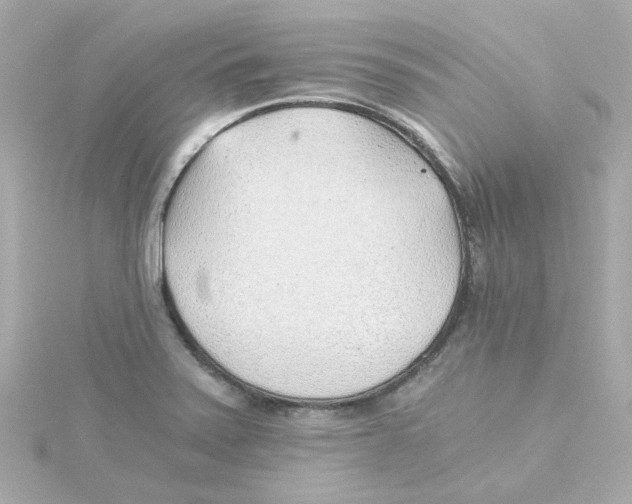 X0000115261371200911271917