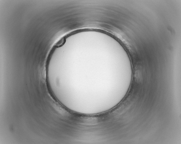 X0000115261372200911271917