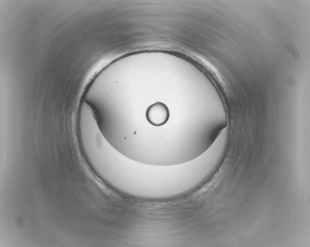 X0000115261373200911271917