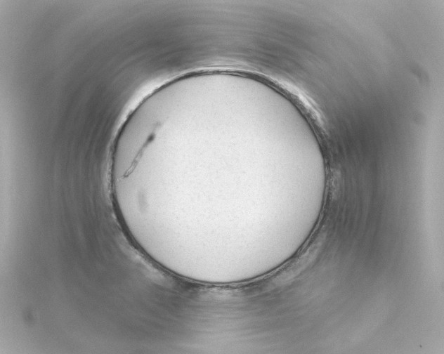 X0000115261374200911271917