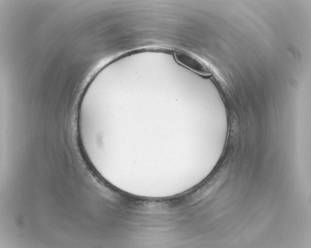 X0000115261375200911271917