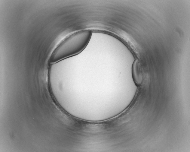 X0000115261376200911271917