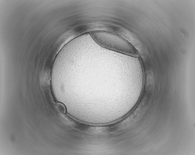 X0000115261377200911271917