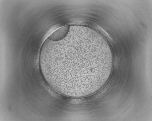 X0000115261378200911271917