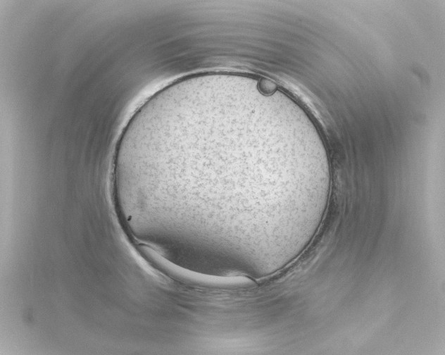 X0000115261379200911271917