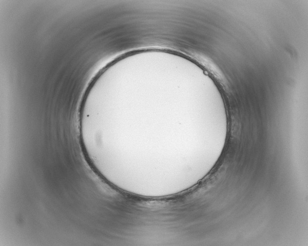 X0000115261380200911271917