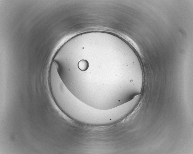 X0000115261381200911271917