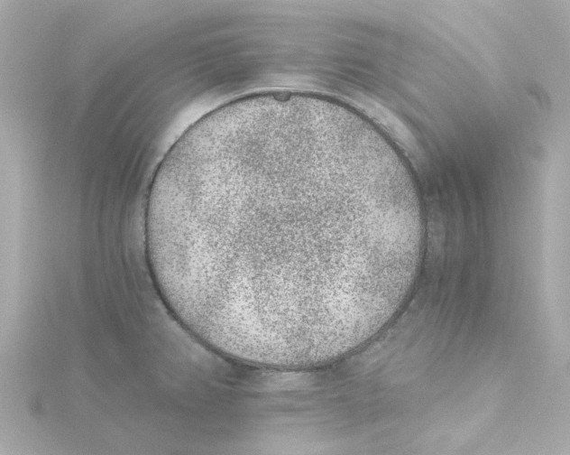 X0000115261382200911271917