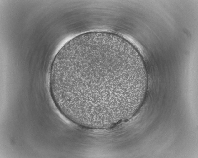 X0000115261383200911271917