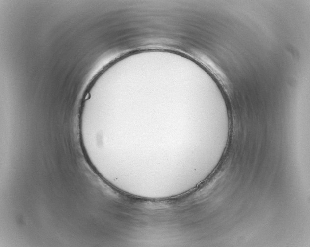 X0000115261384200911271917