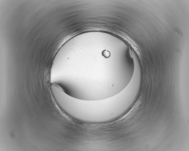 X0000115261385200911271917