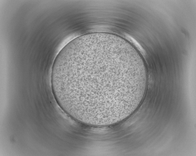 X0000115261386200911271917