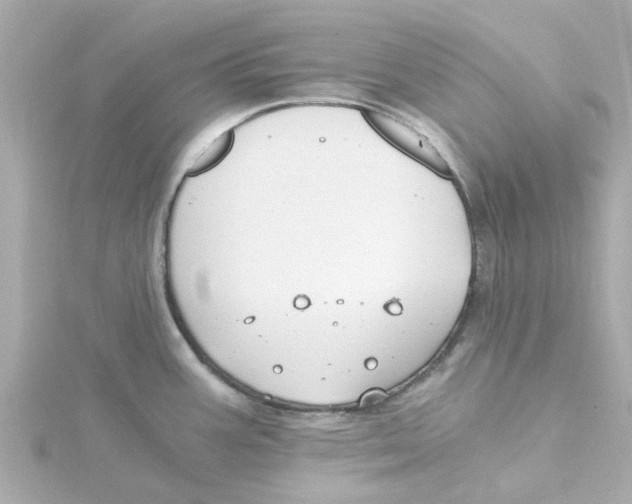 X0000115261387200911271917