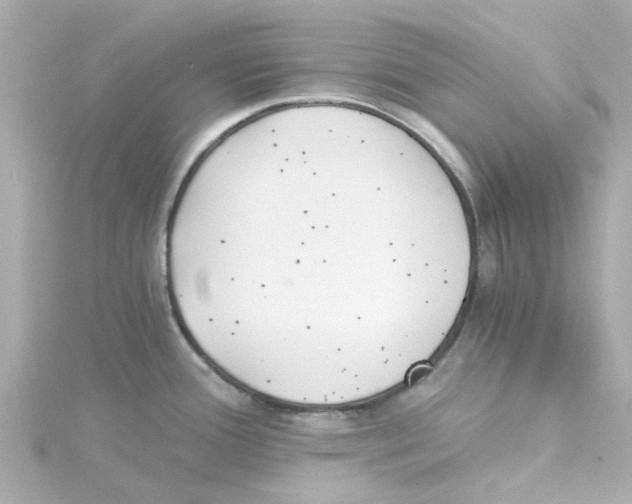 X0000115261388200911271917