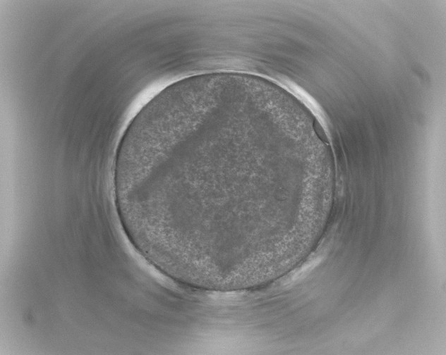 X0000115261389200911271917