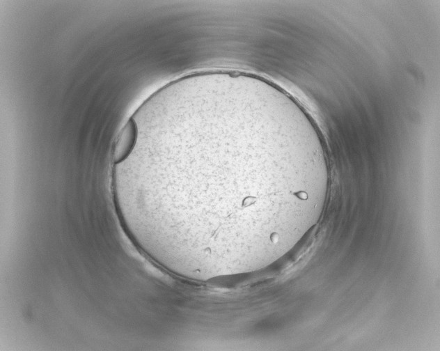 X0000115261390200911271917