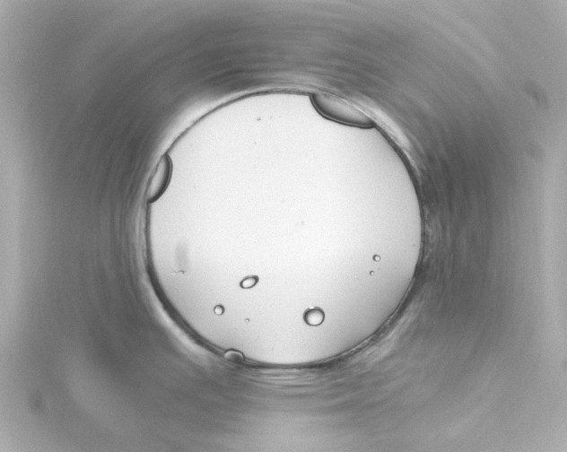 X0000115261391200911271917