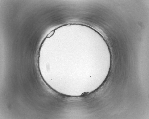 X0000115261392200911271917