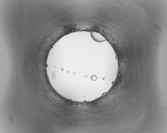 X0000115261393200911271916