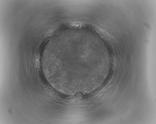 X0000115261394200911271916