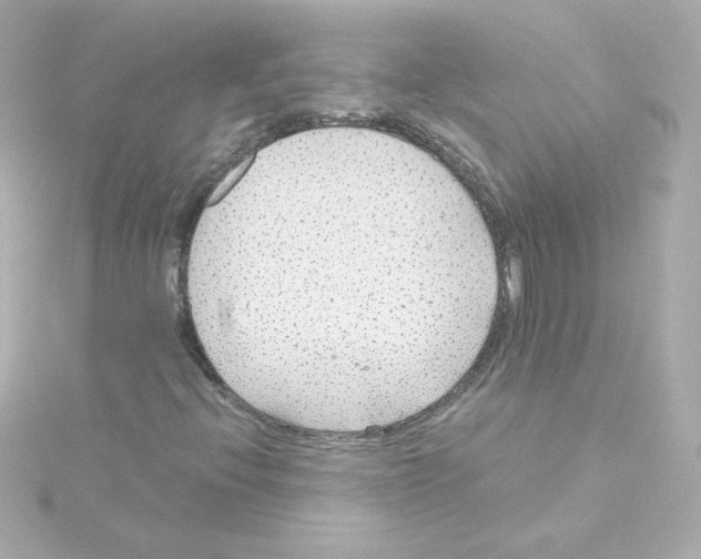 X0000115261396200911271916