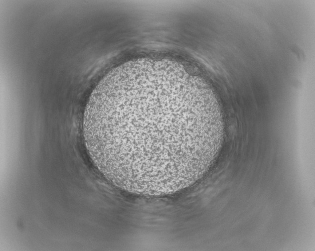 X0000115261397200911271916