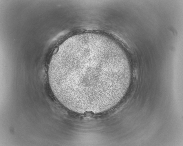 X0000115261398200911271916