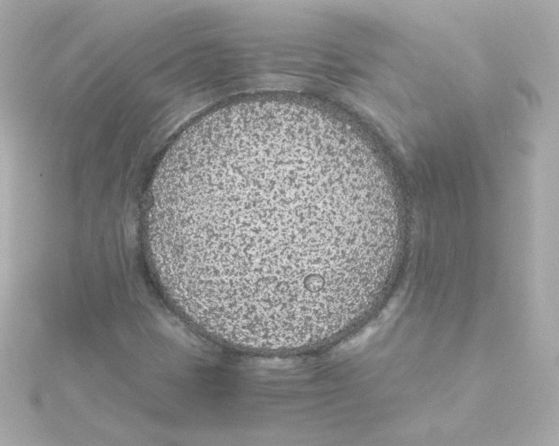 X0000115261401200911271916