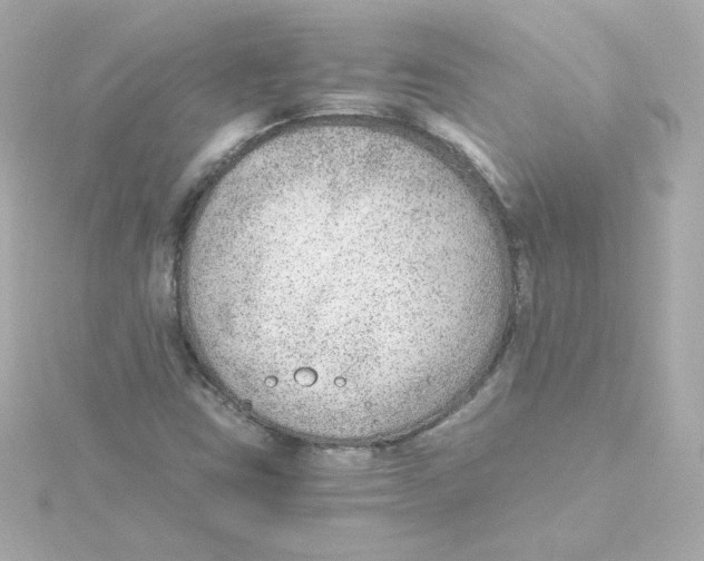 X0000115261403200911271916