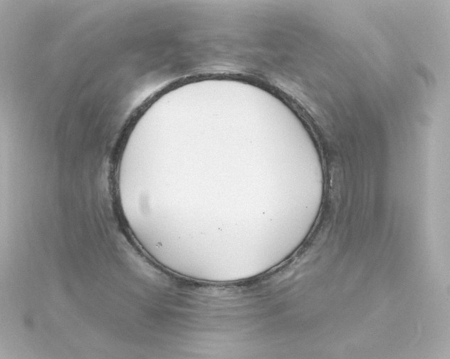 X0000115261404200911271916