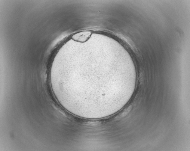 X0000115261406200911271916